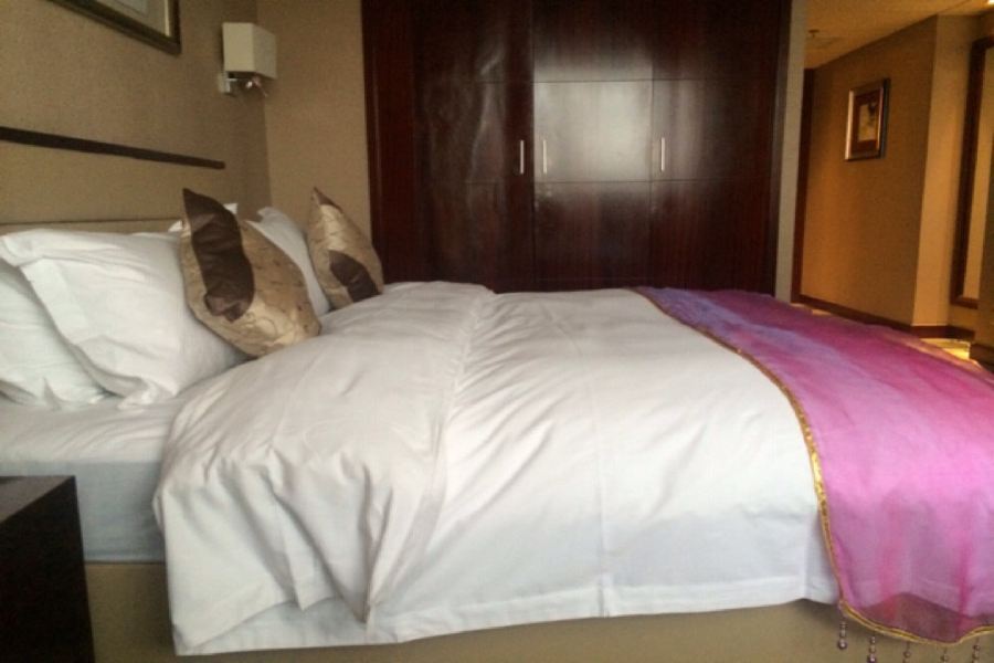 Arcadia International Hotel Cangzhou Ngoại thất bức ảnh